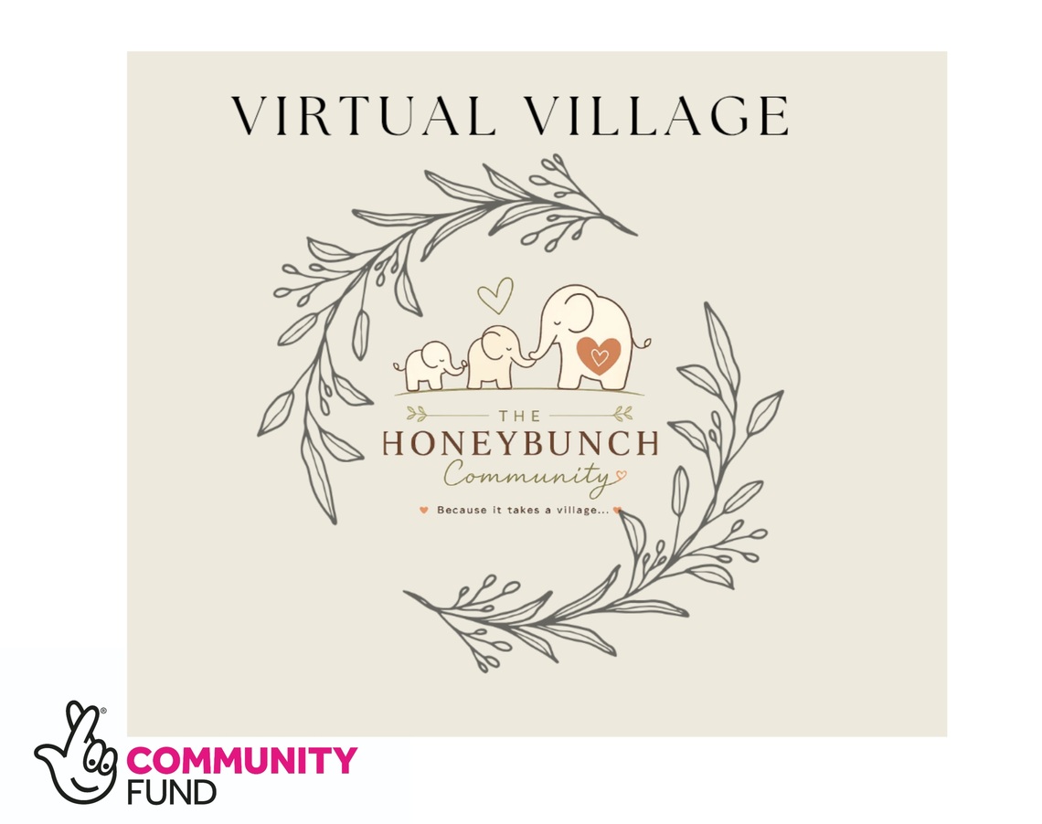virtual village new